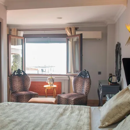 Daphne Стамбул